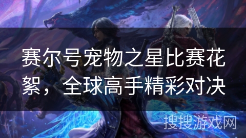 赛尔号宠物之星比赛花絮，全球高手精彩对决