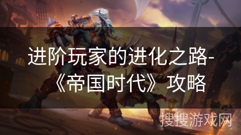 进阶玩家的进化之路-《帝国时代》攻略