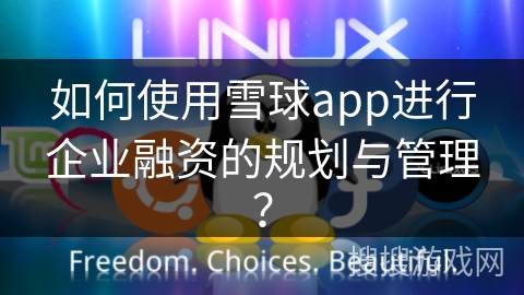 如何使用雪球app进行企业融资的规划与管理? 如何使用雪球app进行企业融资的规划与管理?