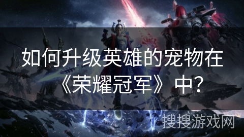 如何升级英雄的宠物在《荣耀冠军》中？