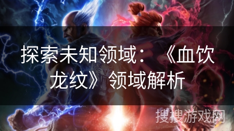 探索未知领域：《血饮龙纹》领域解析