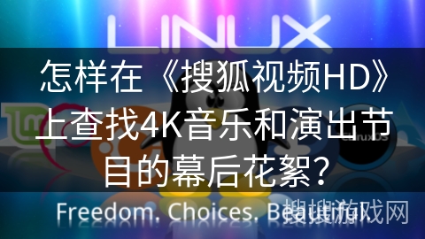 怎样在《搜狐视频HD》上查找4K音乐和演出节目的幕后花絮？