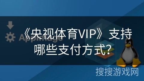 《央视体育VIP》支持哪些支付方式？
