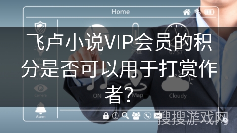 飞卢小说VIP会员的积分是否可以用于打赏作者？
