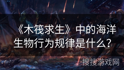 《木筏求生》中的海洋生物行为规律是什么？