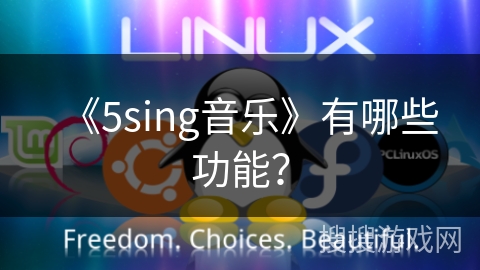 《5sing音乐》有哪些功能？