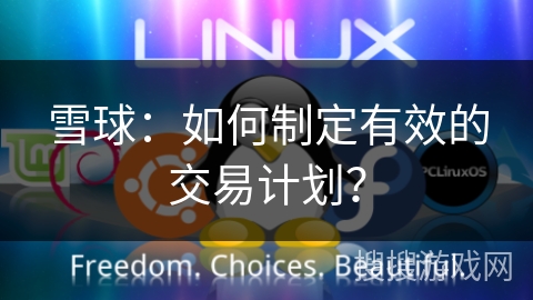 雪球：如何制定有效的交易计划？