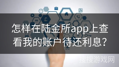 怎样在陆金所app上查看我的账户待还利息？