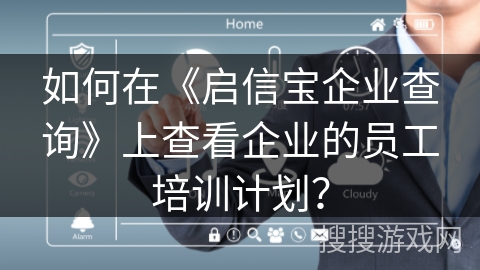如何在《启信宝企业查询》上查看企业的员工培训计划？