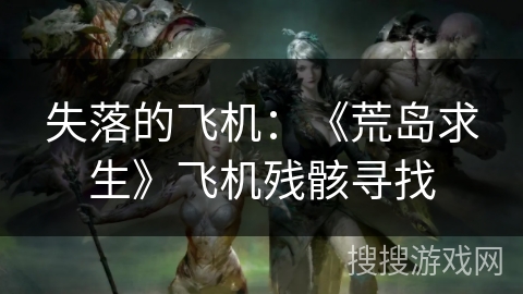 失落的飞机：《荒岛求生》飞机残骸寻找