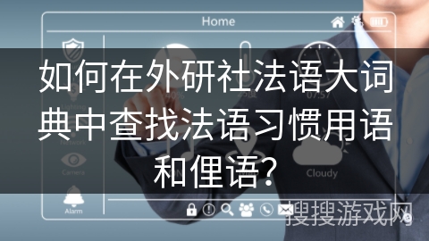 如何在外研社法语大词典中查找法语习惯用语和俚语？