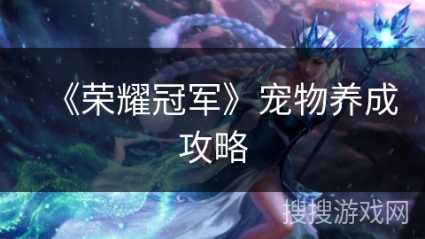 《荣耀冠军》宠物养成攻略