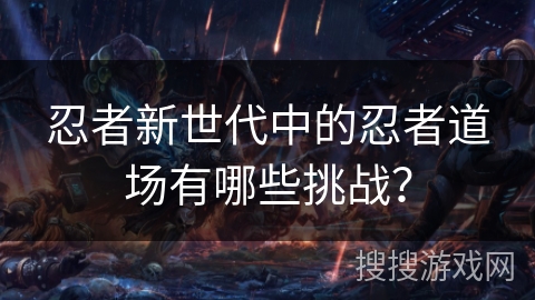 忍者新世代中的忍者道场有哪些挑战？