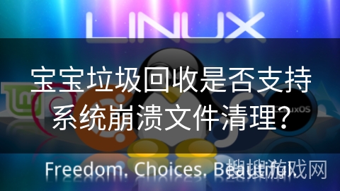 宝宝垃圾回收是否支持系统崩溃文件清理？