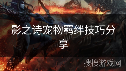 影之诗宠物羁绊技巧分享