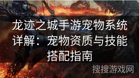 龙迹之城手游宠物系统详解：宠物资质与技能搭配指南