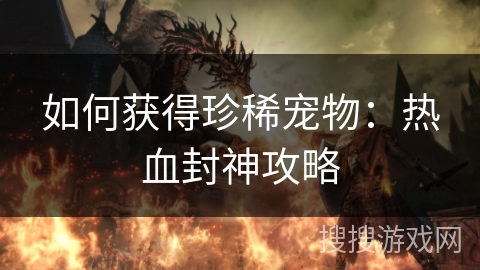 如何获得珍稀宠物:热血封神攻略 如何获得珍稀宠物:热血封神攻略