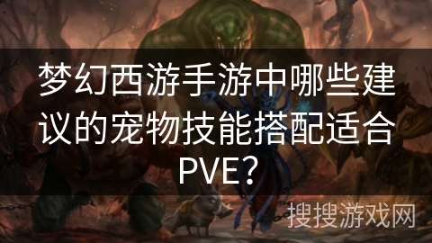 梦幻西游手游中哪些建议的宠物技能搭配适合PVE？