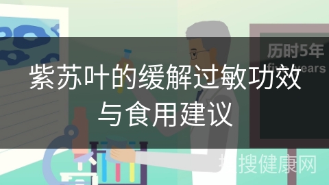 紫苏叶的缓解过敏功效与食用建议