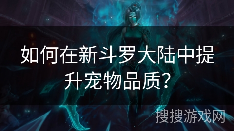 如何在新斗罗大陆中提升宠物品质？