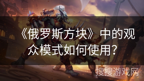 《俄罗斯方块》中的观众模式如何使用？