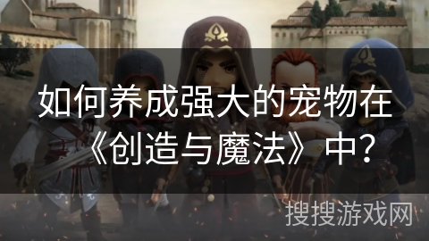 如何养成强大的宠物在《创造与魔法》中？