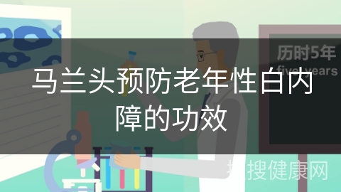 马兰头预防老年性白内障的功效