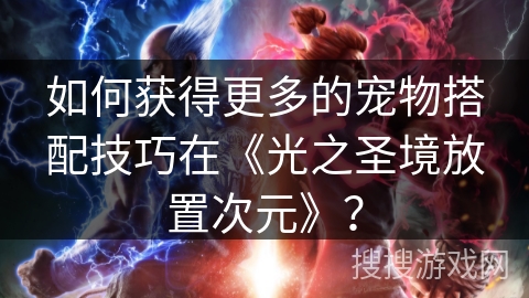 如何获得更多的宠物搭配技巧在《光之圣境放置次元》？