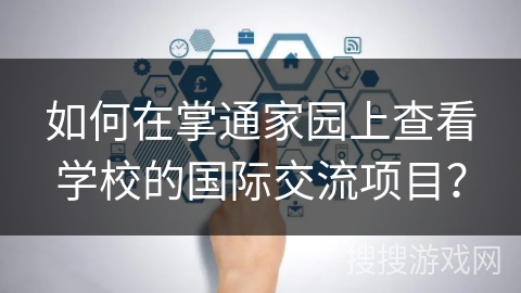 如何在掌通家园上查看学校的国际交流项目？
