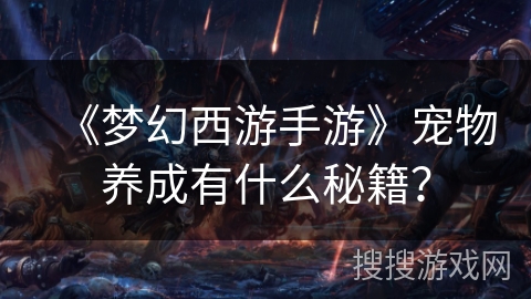 《梦幻西游手游》宠物养成有什么秘籍？