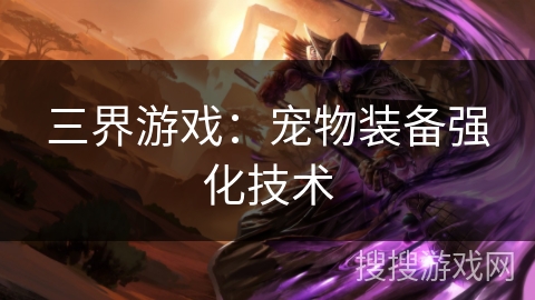 三界游戏：宠物装备强化技术
