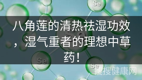 八角莲的清热祛湿功效，湿气重者的理想中草药！