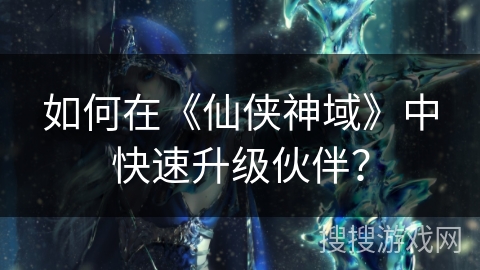 如何在《仙侠神域》中快速升级伙伴？