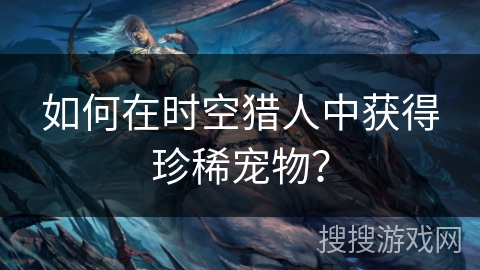 如何在时空猎人中获得珍稀宠物？