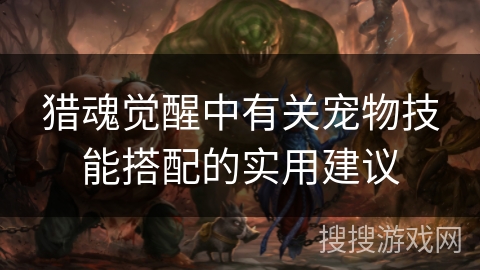 猎魂觉醒中有关宠物技能搭配的实用建议