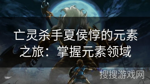 亡灵杀手夏侯惇的元素之旅：掌握元素领域