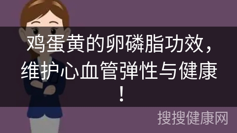 鸡蛋黄的卵磷脂功效，维护心血管弹性与健康！