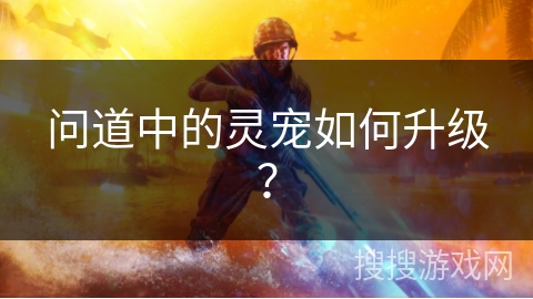 问道中的灵宠如何升级？