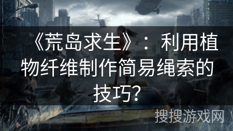 《荒岛求生》：利用植物纤维制作简易绳索的技巧？