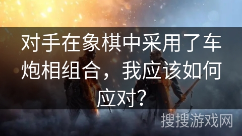 对手在象棋中采用了车炮相组合，我应该如何应对？