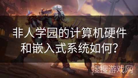 非人学园的计算机硬件和嵌入式系统如何？