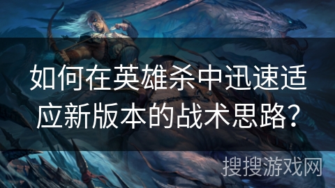 如何在英雄杀中迅速适应新版本的战术思路？