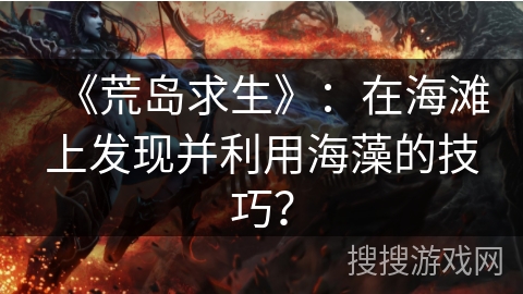 《荒岛求生》：在海滩上发现并利用海藻的技巧？
