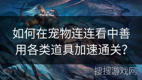 如何在宠物连连看中善用各类道具加速通关？