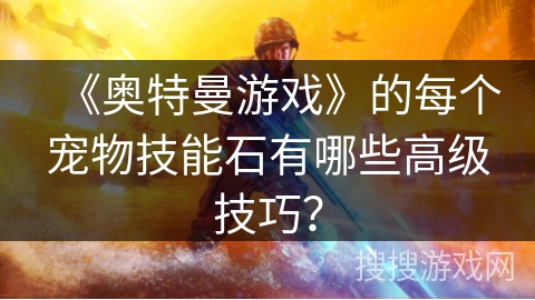 《奥特曼游戏》的每个宠物技能石有哪些高级技巧？