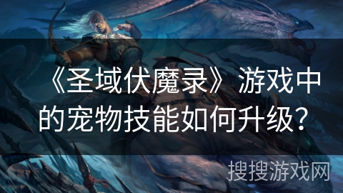 《圣域伏魔录》游戏中的宠物技能如何升级？