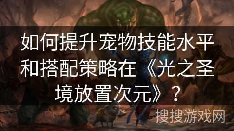 如何提升宠物技能水平和搭配策略在《光之圣境放置次元》？