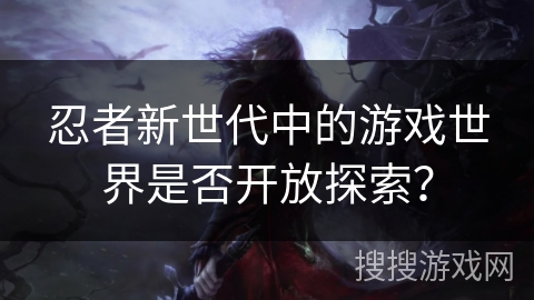 忍者新世代中的游戏世界是否开放探索？