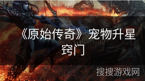 《原始传奇》宠物升星窍门