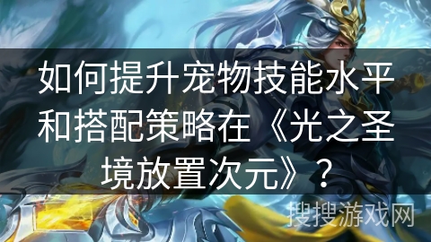 如何提升宠物技能水平和搭配策略在《光之圣境放置次元》？
